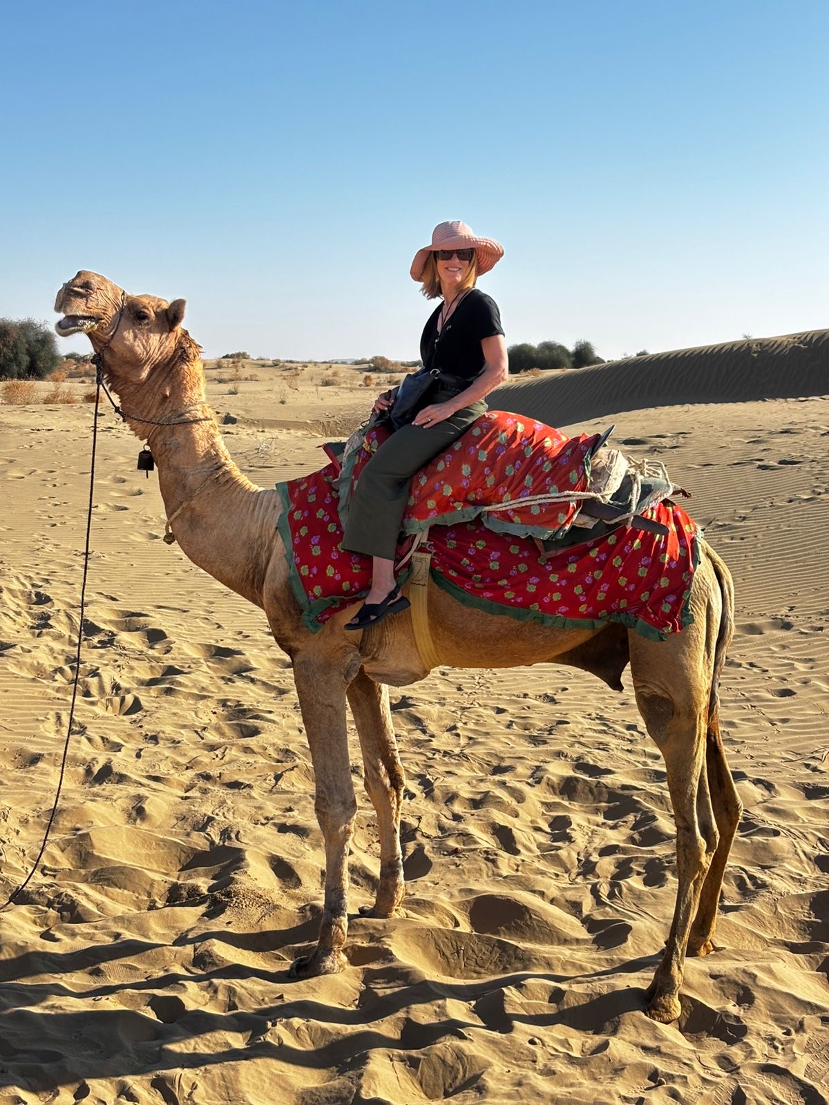Sharon Nichols On a Camel in India